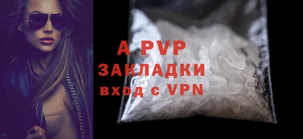 стаф Бугульма