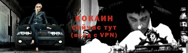 apvp Бородино