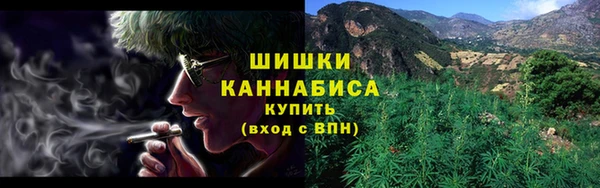 молекула духа Бронницы