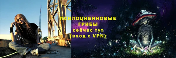 молекула духа Бронницы
