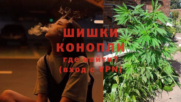 стаф Бугульма