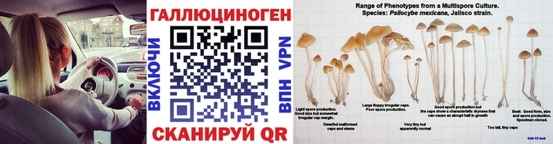 купить наркоту  Великий Устюг  маркетплейс какой сайт  Галлюциногенные грибы Psilocybe 